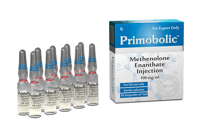 Primabolan Injetavel Metenolona Enantato 100mg/ml 10ml